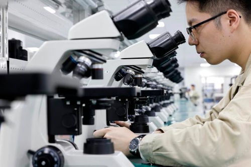 寧波集成品質標 賦能發展新質生產力的技術咨詢之路